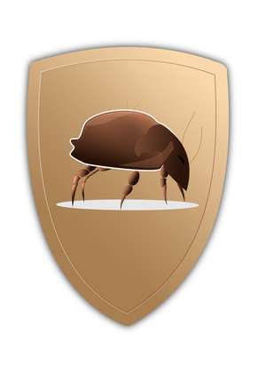 Encasing Bettwäsche schützt vor Milbenkot 